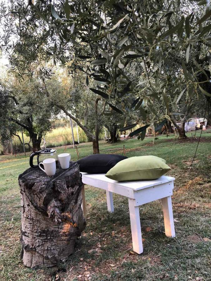Green Olive Studios 2 زيوس ماماس المظهر الخارجي الصورة