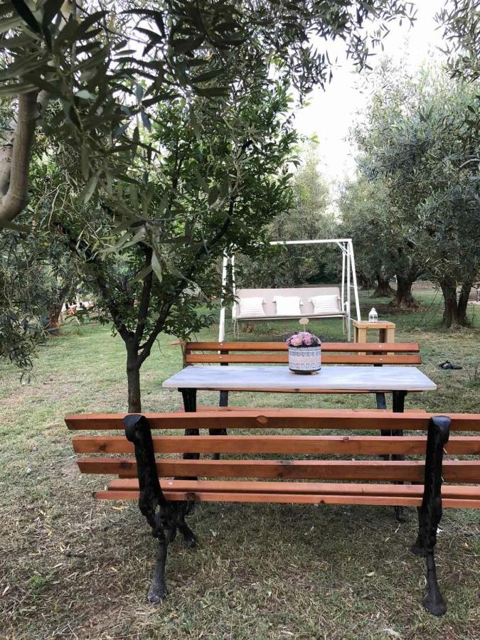 Green Olive Studios 2 زيوس ماماس المظهر الخارجي الصورة