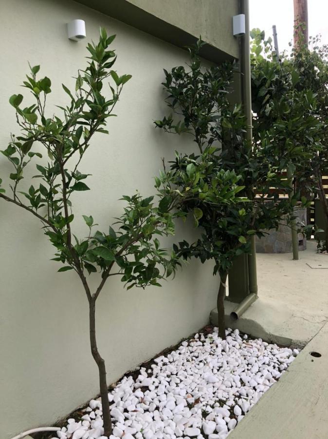 Green Olive Studios 2 زيوس ماماس المظهر الخارجي الصورة