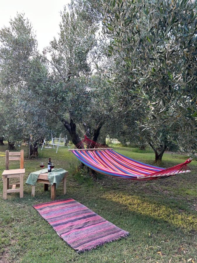 Green Olive Studios 2 زيوس ماماس المظهر الخارجي الصورة